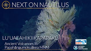 Luʻuaeahikiikapapakū - Exploring Ancient Volcanoes in Papahānaumokuākea Marine National Monument