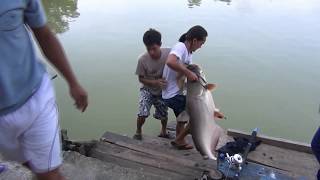 Hatyai Fishing Sports (Wakil Kolam Seksyen 24)