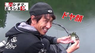 ハシタクどうしよう。第2回「ハシタク、はじめての七色ダム」の巻