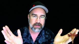 Markee Dragon Show - Guild Wars 2 Banning Policy