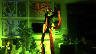 Елена Корнева, aerial silks, школа Enjoy, Самара