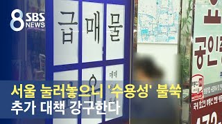 서울 눌러놓으니 '수용성' 불쑥…추가 대책 강구한다 / SBS