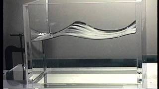 Dancing Water - Sloshing Water Waves