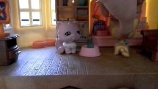 LPS:"Моя жизнь" (#1)