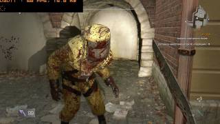 Dying Light on Xeon 5650 (x2) , 24GB RAM , Radeon RX 560