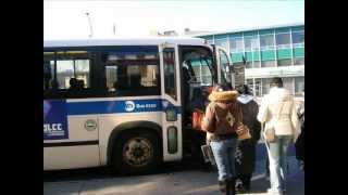 Buses On Their Last Legs - 2009 (MTA and Bee-Line) Part 1