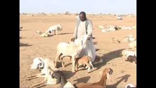 SLDP Sudan TV October2015
