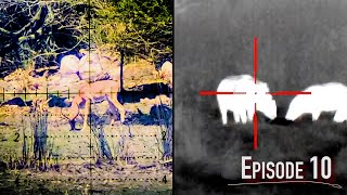 Thermal Bushpig & Scopecam Impala Hunt | Vapour Trails, Episode 10