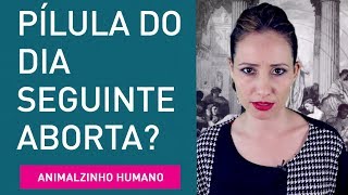 Pílula do dia seguinte é abortiva?  (Contracepção)  |  Animalzinho Humano