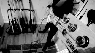 IRON MAIDEN - AFRAID TO SHOOT STRANGERS [COVER by ERIK ARKÖ & LUCA DELLE FAVE]