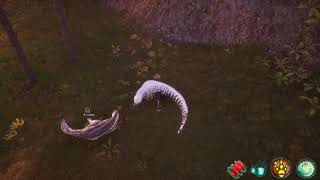 Beasts of Bermuda - Sitting Around On An Acro