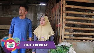 Pintu Berkah - Duka Wanita Pedagang Kambing Yang Bermimpi Pergi Ke Tanah Suci