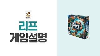 [리프][행복한바오밥] 아름다운 산호초로 바다에 수를 놓아 보세요!