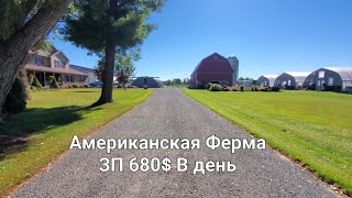 Дальнобой по Америке День 22 Крутая Американская Ферма Сводим Дебит с Кредитом за прошлую неделю