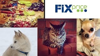 ВЛОГ: Новогодние покупки в FixPrice + Бонус Наш пушистый Зоопарк :D