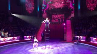 Kristina Guk( Кристина Гук). Nikulin Moscow Circus
