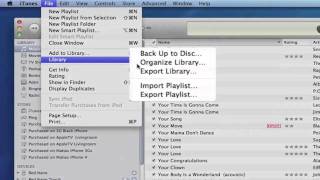 Organize and consolidate iTunes Media