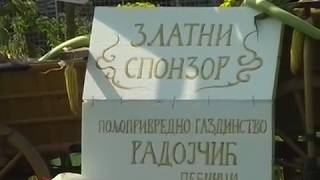 SIRMIA PLATIČEVO - 2 FIJAKERIJADA