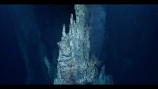 Return to Endeavour Hydrothermal Vents | Nautilus Live