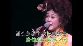 胡美儀 - 風流韻事 (胡美儀摩登名曲演唱會)