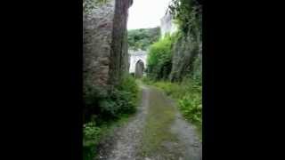 Замок Спящей Красавицы .UK .Wals.Сwrych Castle.
