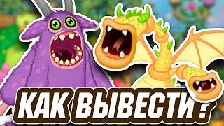 КАК ВЫВЕСТИ ЭПИК МАМУНТА И БРЮШКА!
