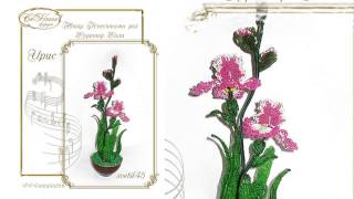 Выпуск работ Факультета "Ирис"