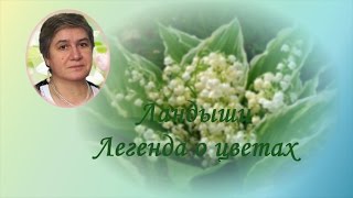 Ландыши.  Легенда о цветах.