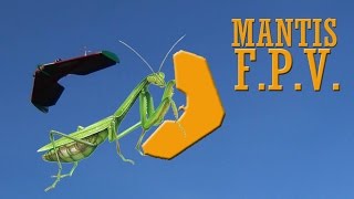 Ala-volante "Mantis F.P.V."