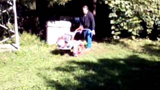 Мотор Січ копаєм картоплю 07 09 2013