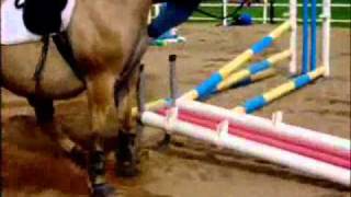 FREAKY HORSE FALLS!