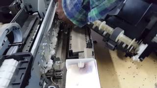 epson l800 paper jam problem || epson l800 paper jam problem