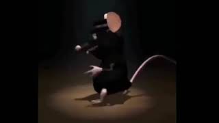 Мышь танцует под музыку 1 час
