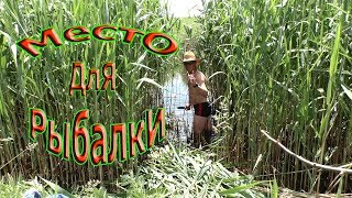 место для рыбалки в камышах