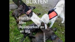 Bildspel Blixten
