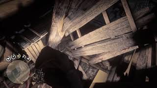 Red Dead Redemption 2 Green Iguana & Captain Hat Location