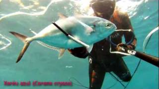 Pesca Sub na Madeira 4 - Poças do Governador