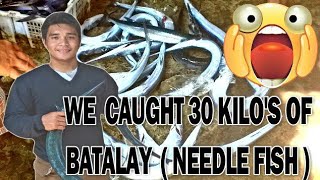 Mang-huli ng Isdang Batalay o Needle fish gamit ang palutang | SeaVlog #002 Part 1
#BillyAilly