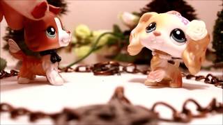 LPS: SPELLBOUND (Eps.1) "The Red Witch"