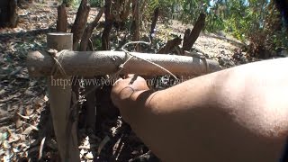 Increible Trampa para zorro