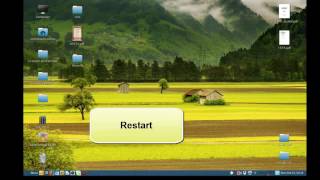 How to change system language in Linux Mint 17 ?