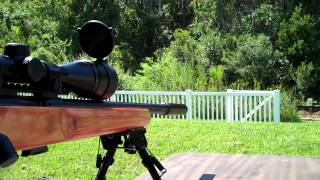 Video review: Suppressed Savage MKii FVSR