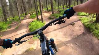 Steel City DH 2019 - Grenoside Full run with gaps