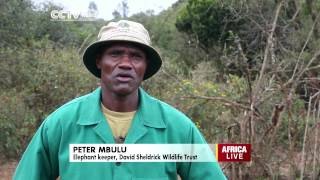 Eco Africa: Caring For Kenya's Orphaned Elephants