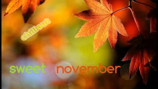 ● Sweet November ♪