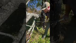 Hand Chainsaw vs Folding Saw ️