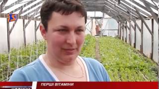 Ранні овочі по-Дерценськи