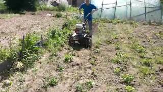 Окучивание картошки мотоблоком Нева МБ-2