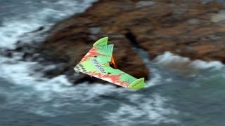 Beauty of Flight 1200mm PopWing