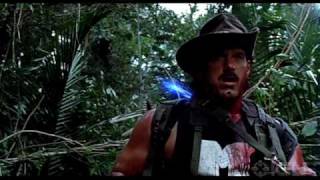 Top Predator Kills